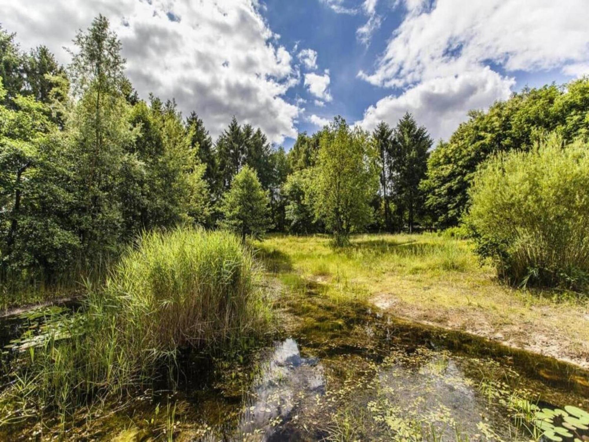 Cosy Holiday Home In Appelscha With Garden Eksteriør bilde